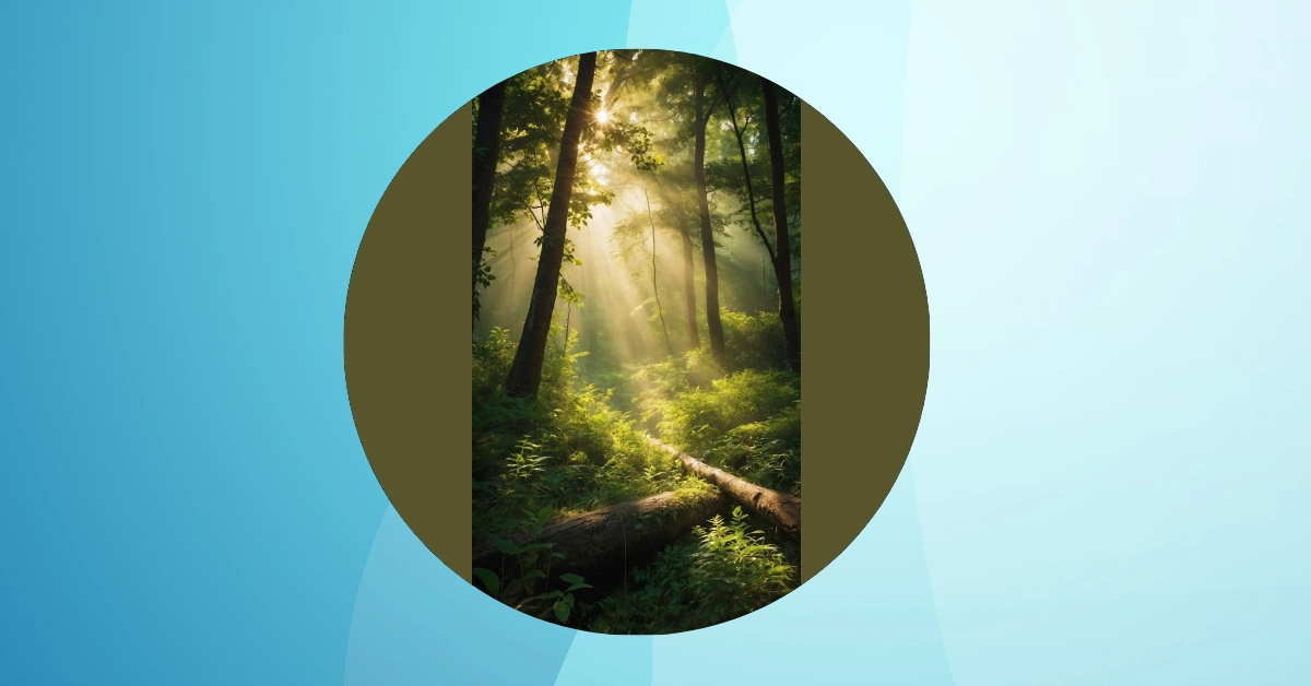 Aesthetic Nature Wonders: 09 Wallpapers to Elevate Your Device Game