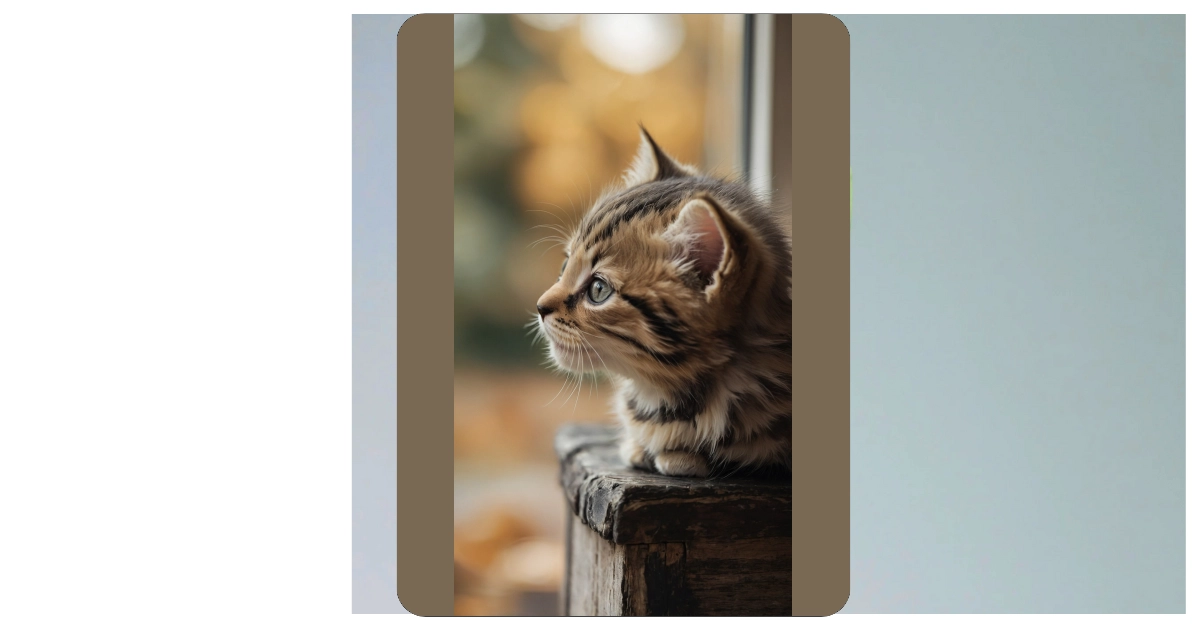 11 Adorable Kitten Wallpaper Ideas for a Purr-fect Aesthetic
