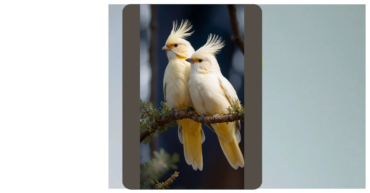 Colorful Escapes: 13 Birds Wallpaper Ideas for Every Room