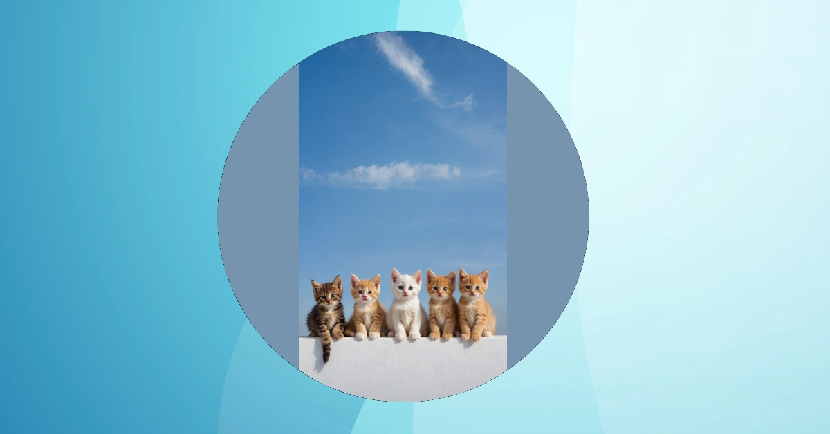Paws-itive Vibes: 11 Kitten Wallpaper Ideas to Brighten Your Day